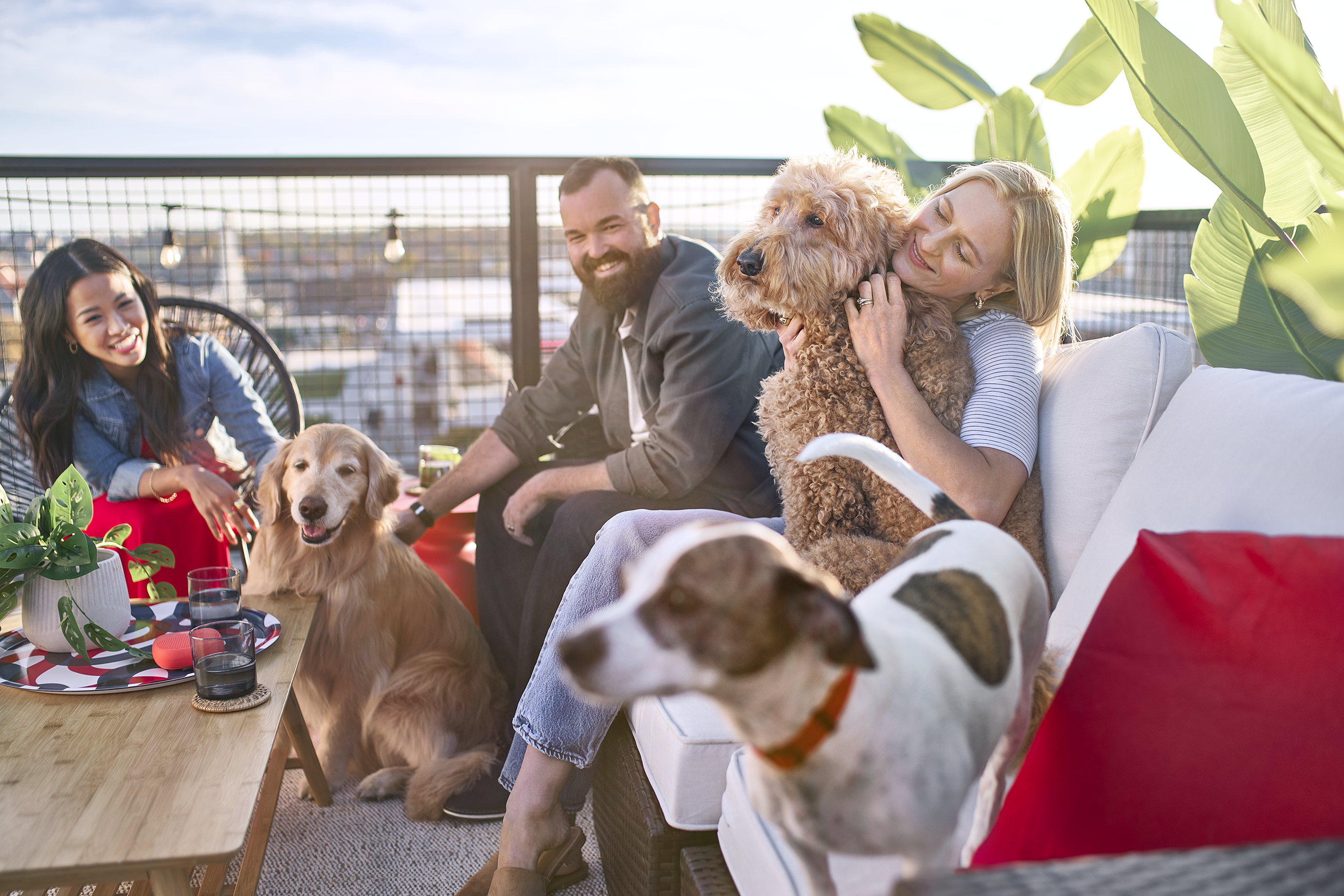 Perros y sus dueños disfrutando en una terraza