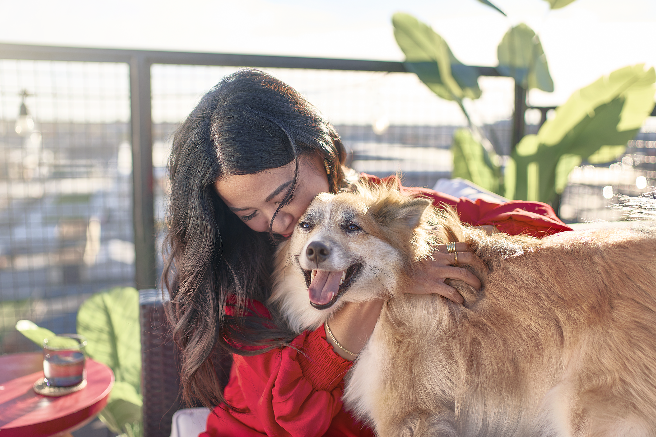 Perro sonriente siendo abrazado por su dueña