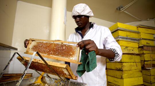 HoneyCare