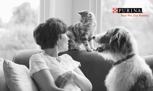 Alimentos para Mascotas | Nestlé