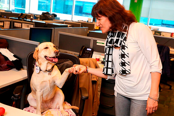 dueña con su perro