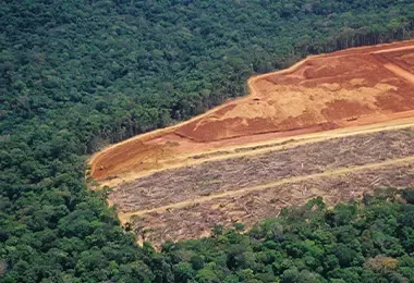 Deforestación consecuencias del calentamiento global