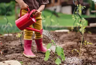Persona rociando agua en planta