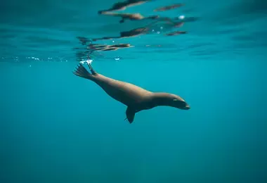 Contaminación de los océanos y mares