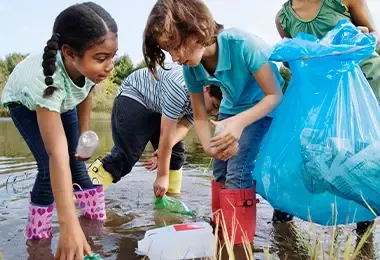 Cultura ecológica y consciente