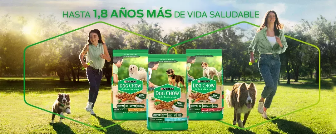 Purina Dog Chow