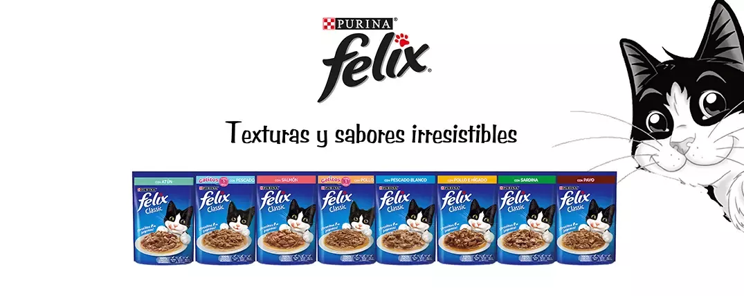 Purina Felix