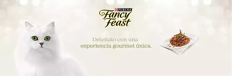Fancy_Feast