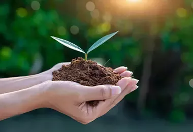 Mujer teniendo una planta con tierra