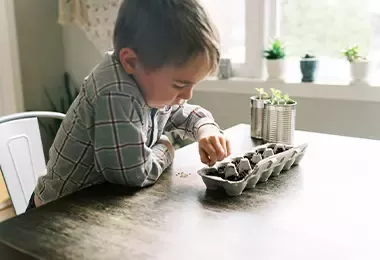 Niño sembrando en caja de cartón de huevos