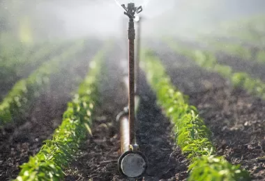 Aspersor de agua en cultivo hidropónico