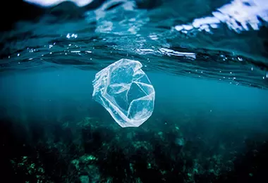 Consecuencias del cambio climático en el mar