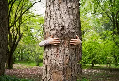 Manos abrazando un tronco de árbol