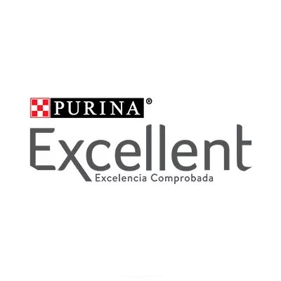 Logo Excellent