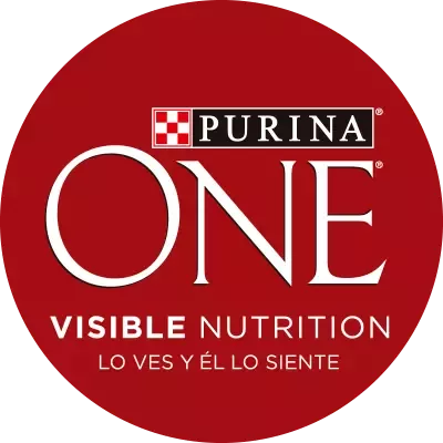 Logo Purina One