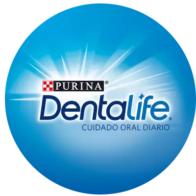 Logo Dental Life