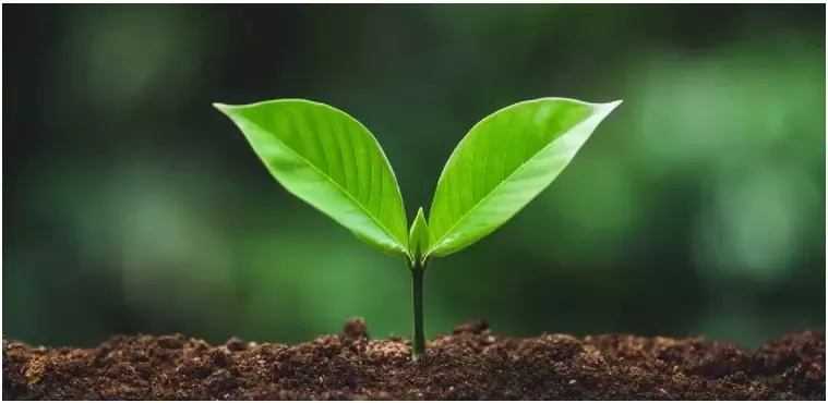 Nestlé y la COP26