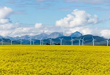 Cuidado de la ecología y medio ambiente