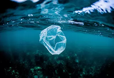 Envases no biodegradables