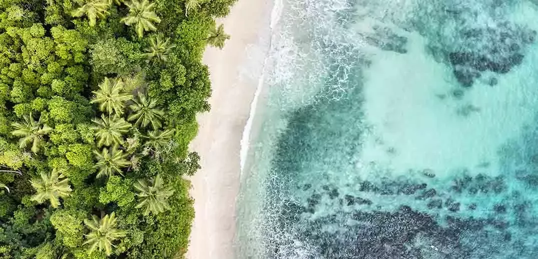 ocean