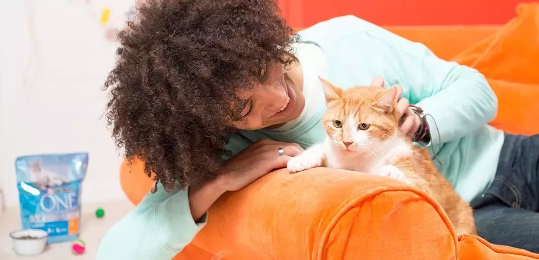 working-product-portfolio-purina-wide2